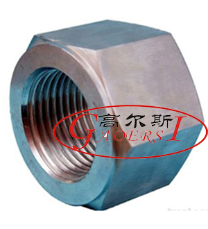 hex nuts, hexagonal nut